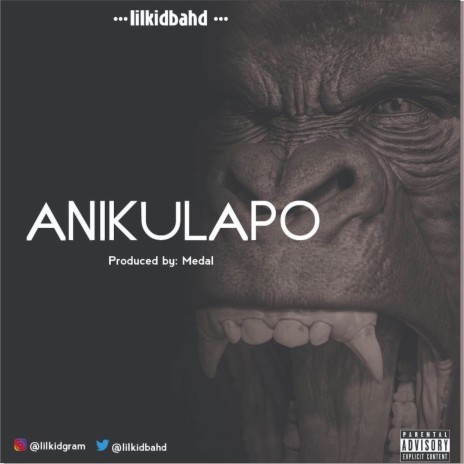 Anikulapo | Boomplay Music