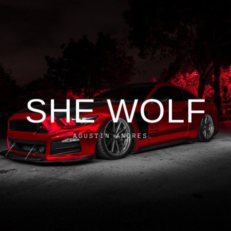 She Wolf | Boomplay Music