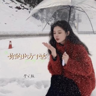 你的北方下雪 ft. 梦兮颜 lyrics | Boomplay Music