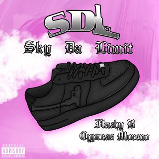 Sky's Da Limit (SDL Sneakers)