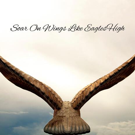 Soar On Wings Like Eagles High | Boomplay Music