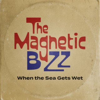 The Magnetic Buzz