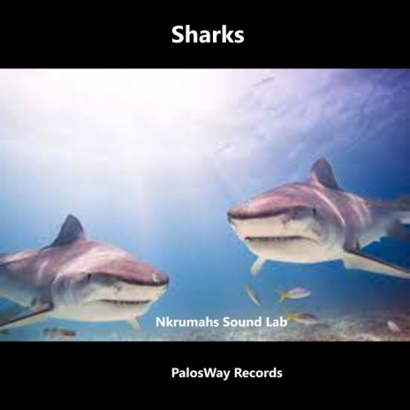 Sharks | Boomplay Music