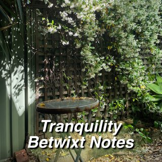 Tranquility Betwixt Notes