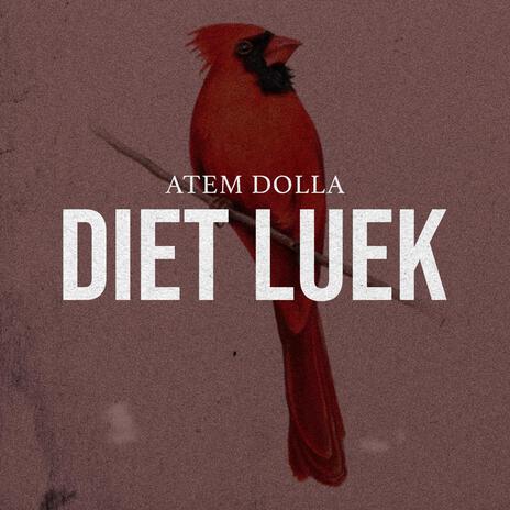 Diet Luek | Boomplay Music