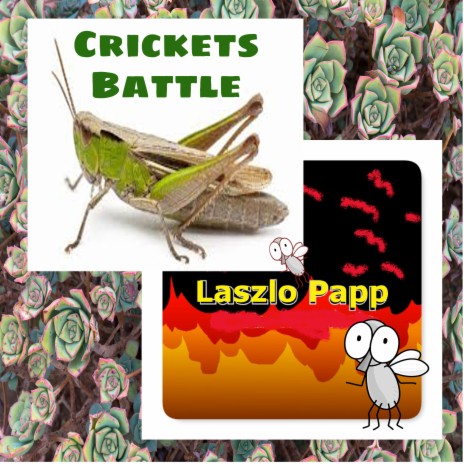 Crickets Battle | Boomplay Music