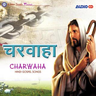 Pavitra Tu Hai Pavitra lyrics | Boomplay Music