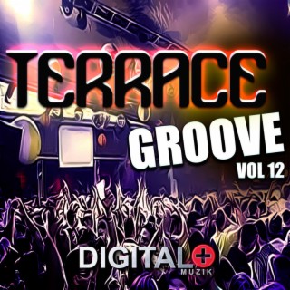 Terrace Groove, Vol. 12