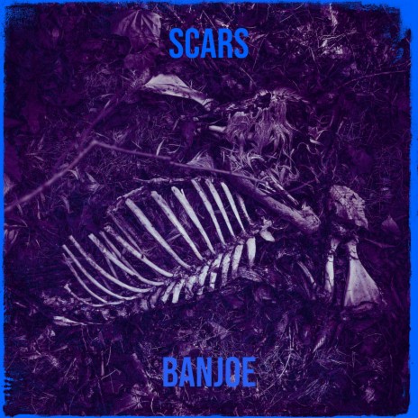 Scars | Boomplay Music