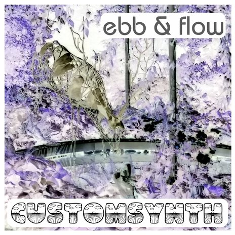 Ebb & Flow | Boomplay Music