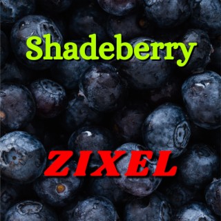 Shadeberry
