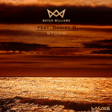 Storm (Seega van Wijk Remix) ft. Daniel D. | Boomplay Music