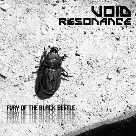 Fury of the Black Beetle | Boomplay Music