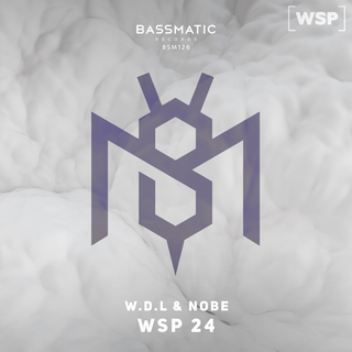 WSP 24