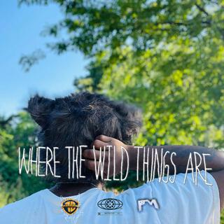 Where The Wild Things Are