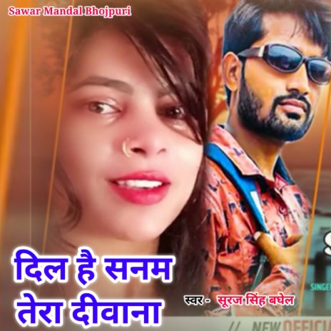 Dil Hai Sanam Tera Diwana (Sad Song) | Boomplay Music