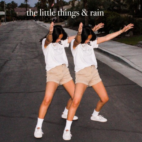 the little things & rain | Boomplay Music