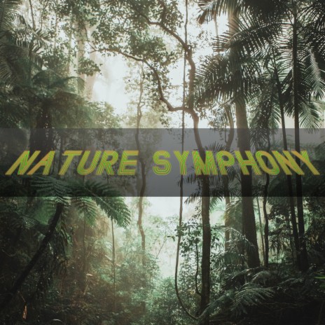 Crickets in the Night ft. Calming Rainforest Sounds & Sonido del Bosque y Naturaleza