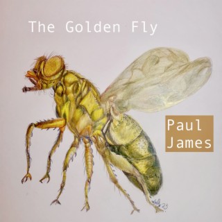 The Golden Fly