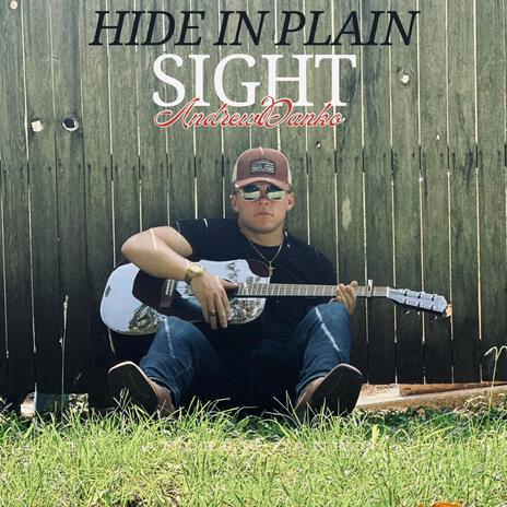 Hide in Plain Sight