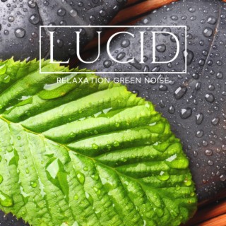 Lucid Relaxation Green Noise – 852 Hz Soft Nature Sounds (Gentle Rain, Wind Noise, Deep Meditation Music)