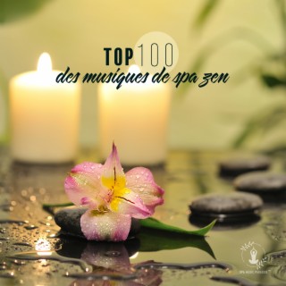 Top 100 des musiques de spa zen: Édition 5 heures, Sons apaisants de la nature pour le massage, Méditation, Reiki de guérison, Détente profonde