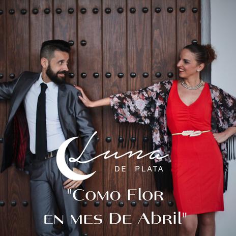 Como Flor en mes de Abril ft. Luna de Plata | Boomplay Music