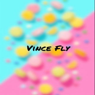 Vince Fly