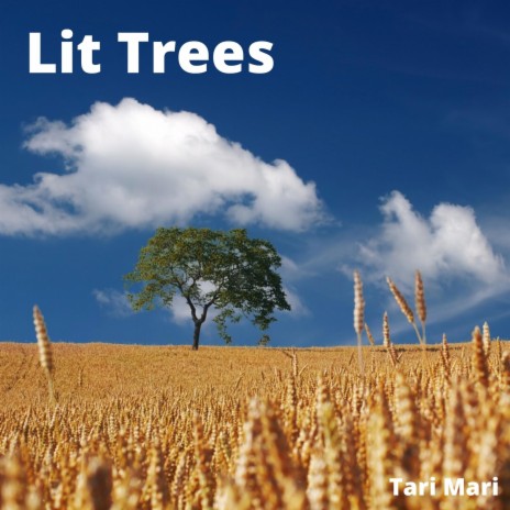 Lit Trees | Boomplay Music