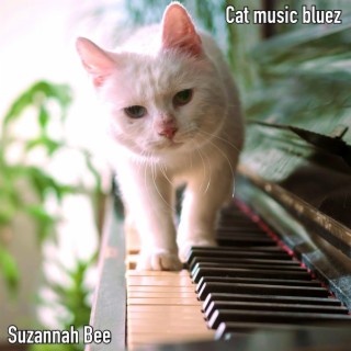 Cat music bluez