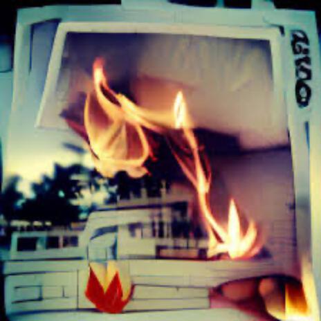 polaroid | Boomplay Music