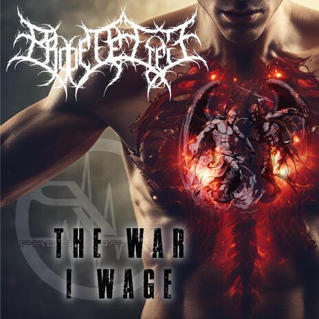 The War I Wage | Boomplay Music