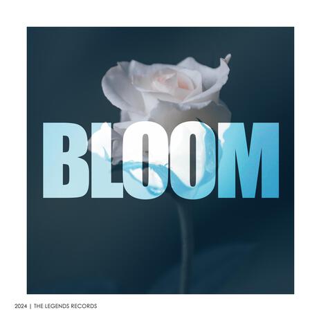 Bloom (Original Mix) | Boomplay Music