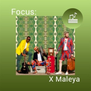 Focus: X-Maleya | Boomplay Music