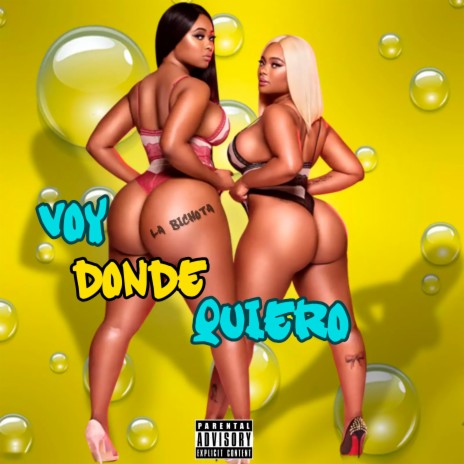Voy Donde Quiero | Boomplay Music