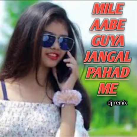 Mile Aabe Guya Jangal Pahad Me | Boomplay Music