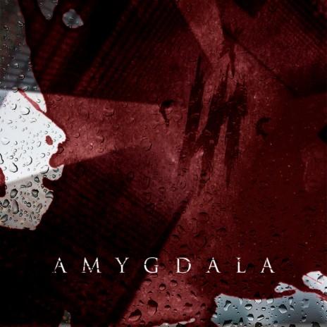 Amygdala | Boomplay Music