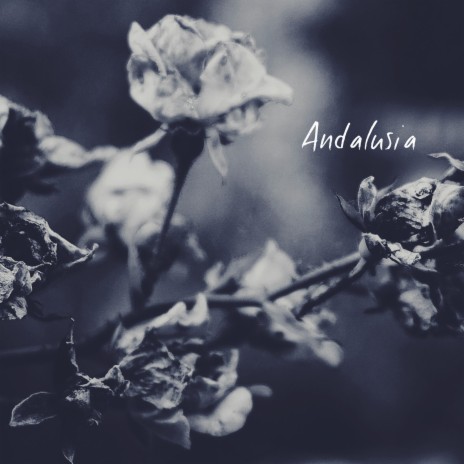 Andalusia | Boomplay Music