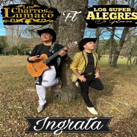 Ingrata ft. Los Super Alegres de Galvarino | Boomplay Music