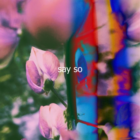 Say so | Boomplay Music