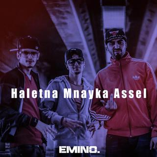 Haletna mnayka assel