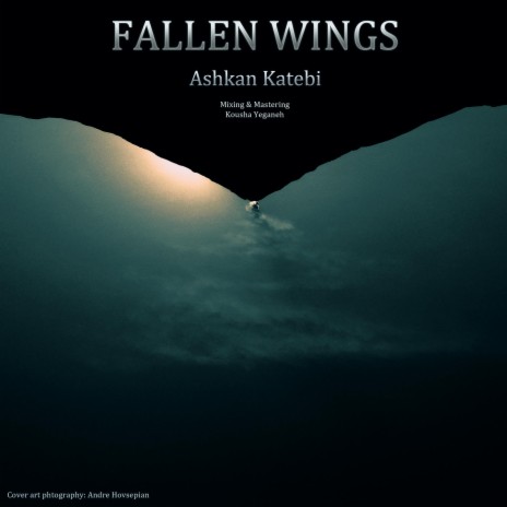 Fallen Wings | Boomplay Music