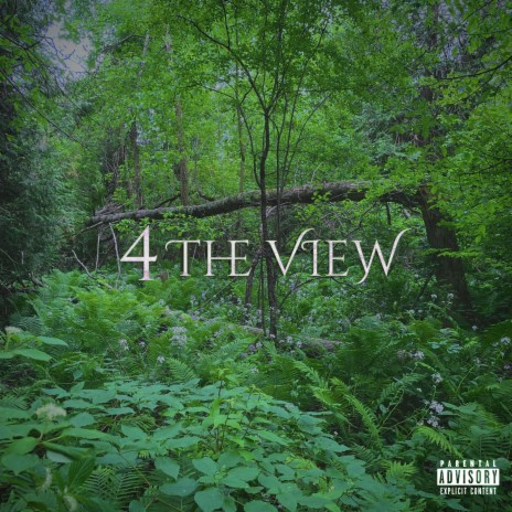 4 The View