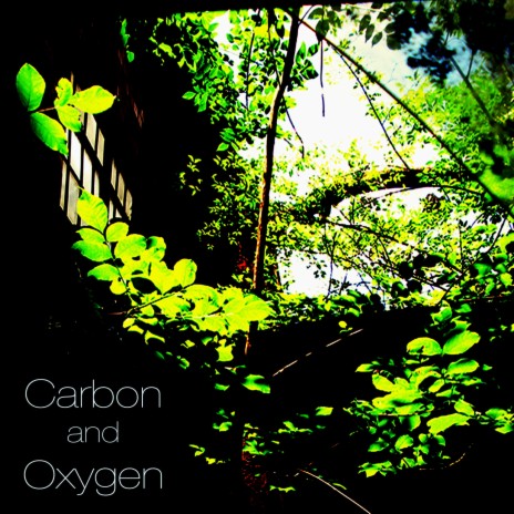 Carbon and Oxygen XI | Boomplay Music