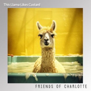 This Llama Likes Custard