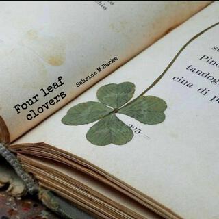 Four Leaf Clovers lyrics | Boomplay Music