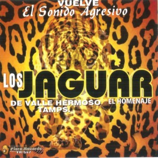 Los Jaguar De Valle Hermoso