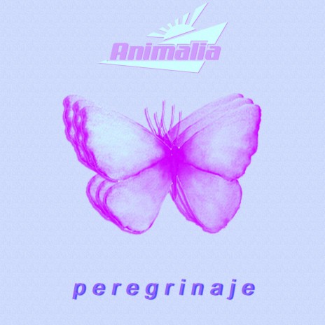 Peregrinaje | Boomplay Music