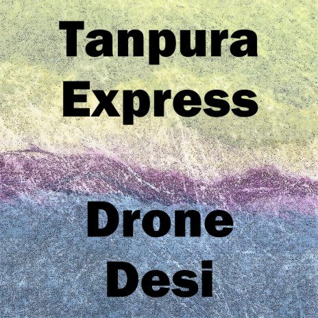 Drone Desi