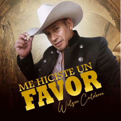 Me Hiciste un Favor | Boomplay Music